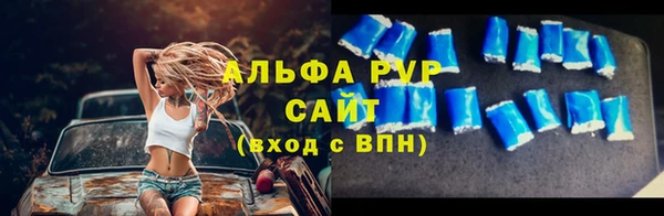 твердый Абаза