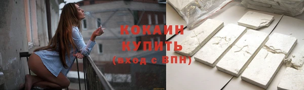 твердый Абаза