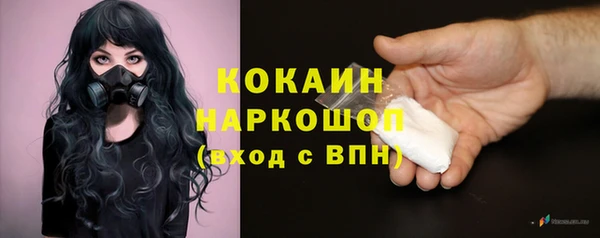 твердый Абаза
