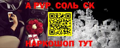 СК Бердск