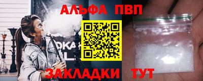 СК Бердск