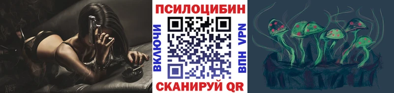 наркотики  Богородицк  Псилоцибиновые грибы ЛСД 