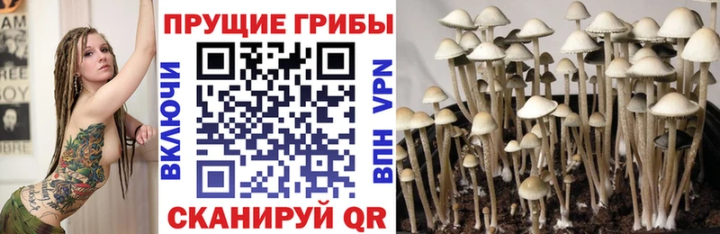 Галлюциногенные грибы прущие грибы Богородицк