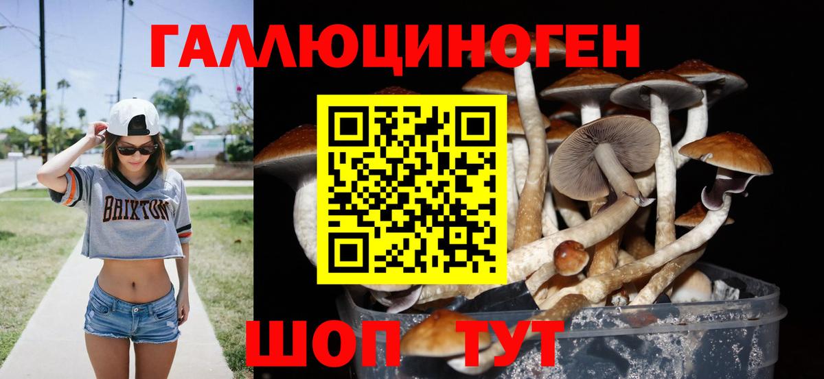 Псилоцибиновые грибы Magic Shrooms Богородицк