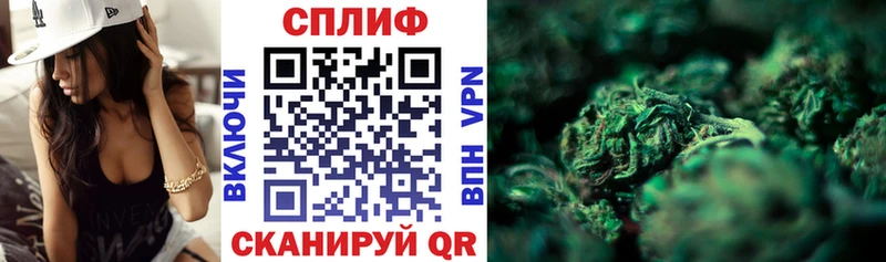 Бошки марихуана Amnesia  где купить   Богородицк 